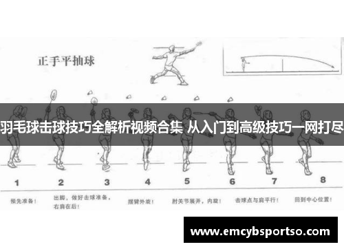 羽毛球击球技巧全解析视频合集 从入门到高级技巧一网打尽